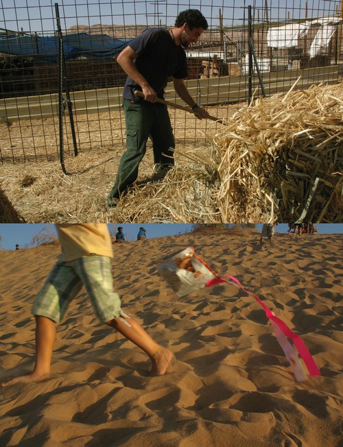 7/ - Kibbutz 3000. Compleanno di un sogno, attualit di un'idea<br> Fotografie, racconti, interviste