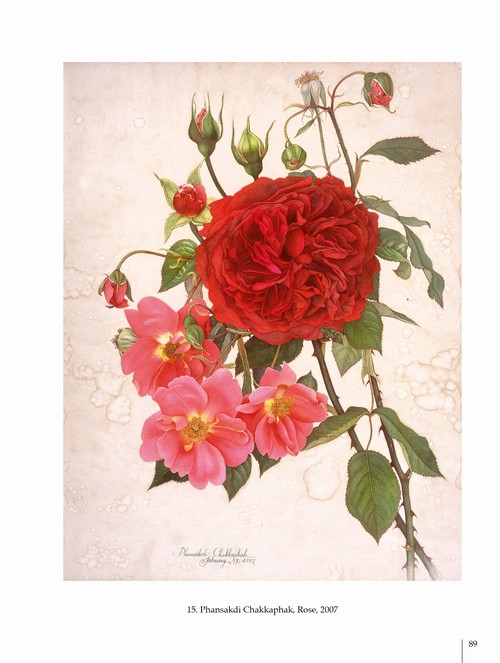 2/ - Arte botanica nel terzo Millennio. Botanical Art into the third Millennium <br>catalogo