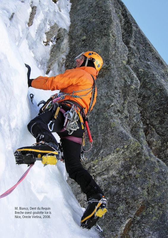 6/ - Monte Bianco, Dent du Requin, 2008