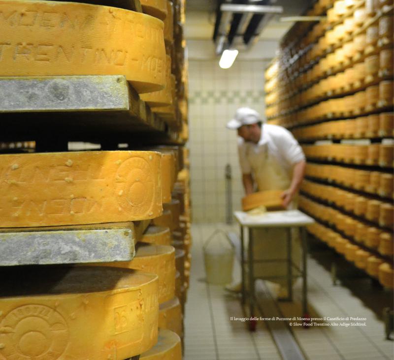 3/ - Cibo e paesaggio. Riflessioni su alcune pratiche alimentari del Trentino