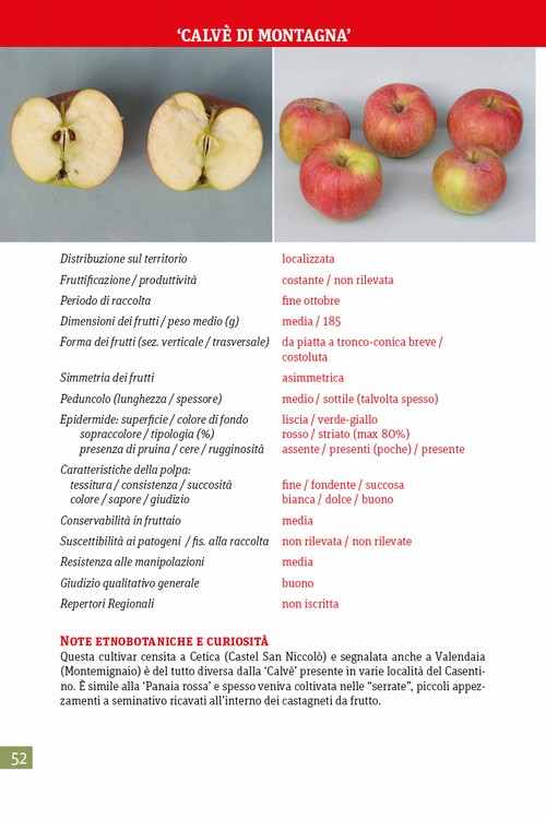 10/ - Alla riscoperta della frutta antica del Casentino. Un patrimonio agroalimentare di alto pregio genetico, culturale ed economico