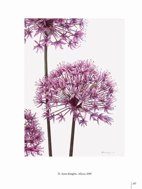 5/ - Arte botanica nel terzo Millennio. Botanical Art into the third Millennium <br>catalogo