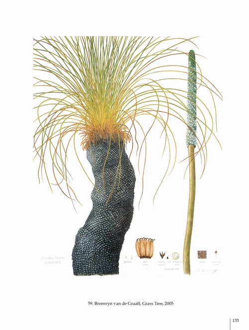 6/ - Arte botanica nel terzo Millennio. Botanical Art into the third Millennium <br>catalogo