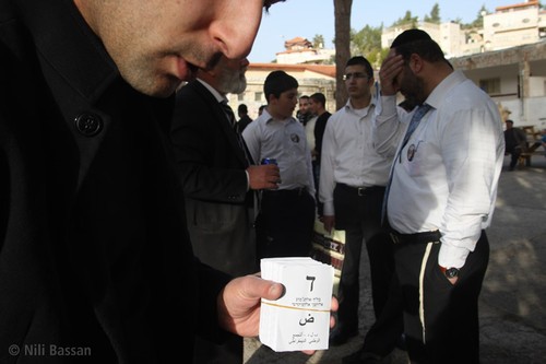 10/ - Israele 2013. Il falco sotto assedio