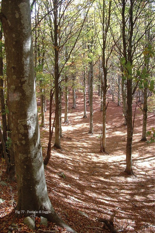 5/ - Le Valli di Zeri in Lunigiana. Guida alla conoscenza del territorio