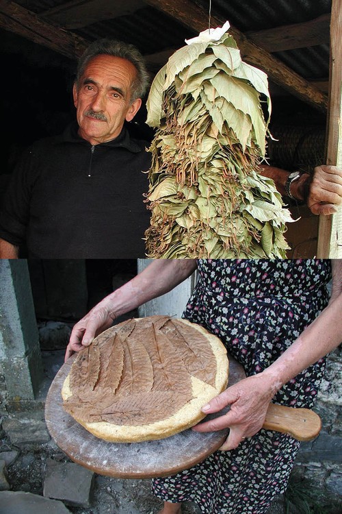 6/ - Le Valli di Zeri in Lunigiana. Guida alla conoscenza del territorio