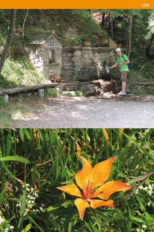 10/ - Le Valli di Zeri in Lunigiana. Guida alla conoscenza del territorio