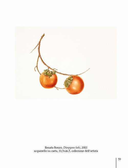 2/ - Arte botanica in Italia oggi. Botanical Art in Italy today