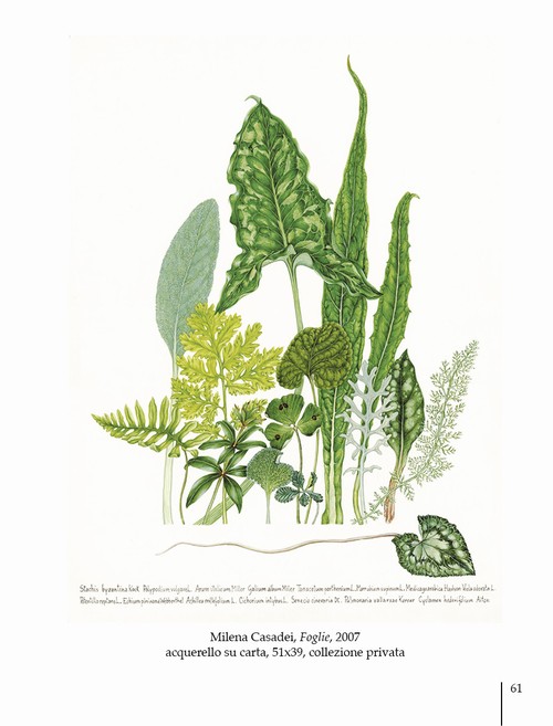 3/ - Arte botanica in Italia oggi. Botanical Art in Italy today