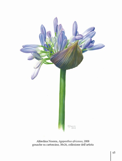 5/ - Arte botanica in Italia oggi. Botanical Art in Italy today