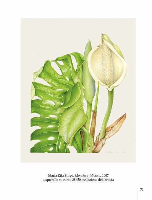 8/ - Arte botanica in Italia oggi. Botanical Art in Italy today