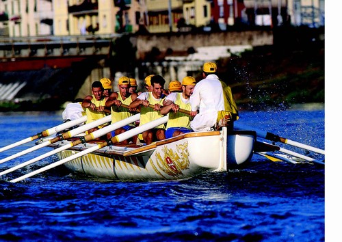 2/ - La Regata Storica di San Ranieri. 