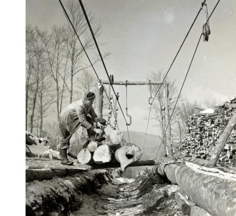 16/ - I paesaggi del Trentino. Caratteri, percezioni e vissuto di un territorio alpino