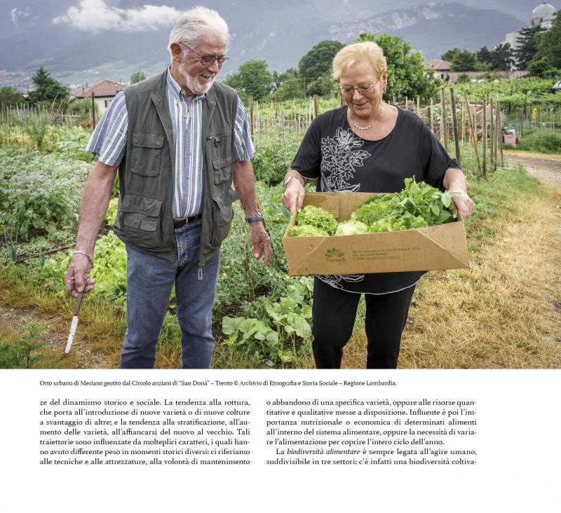 6/ - Cibo e paesaggio. Riflessioni su alcune pratiche alimentari del Trentino