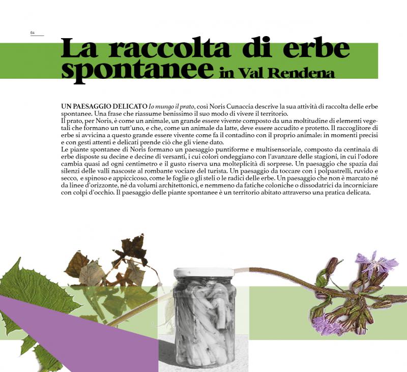 8/ - Cibo e paesaggio. Riflessioni su alcune pratiche alimentari del Trentino