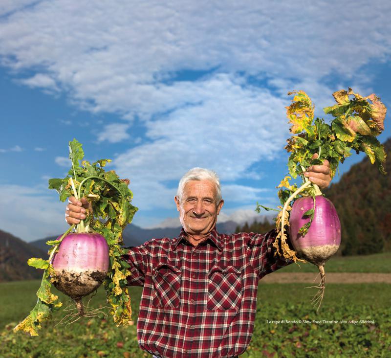 23/ - Cibo e paesaggio. Riflessioni su alcune pratiche alimentari del Trentino