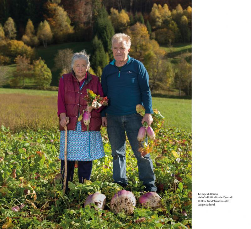 24/ - Cibo e paesaggio. Riflessioni su alcune pratiche alimentari del Trentino